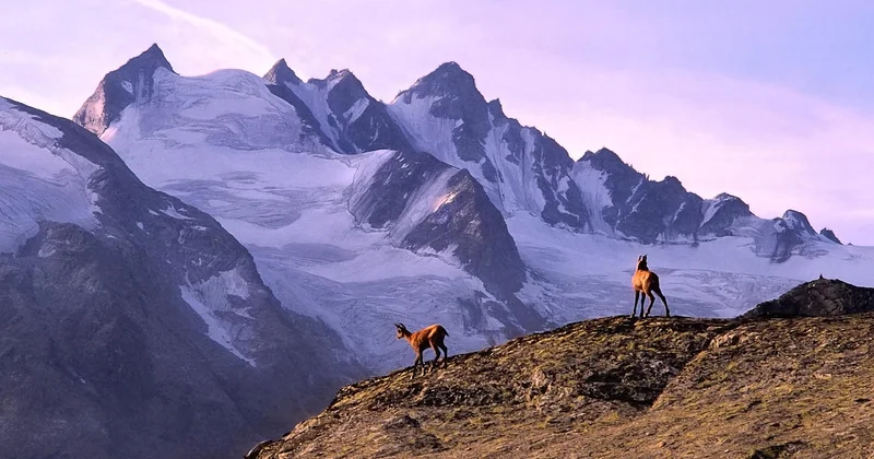 Gérer l'altitude et l'hydratation